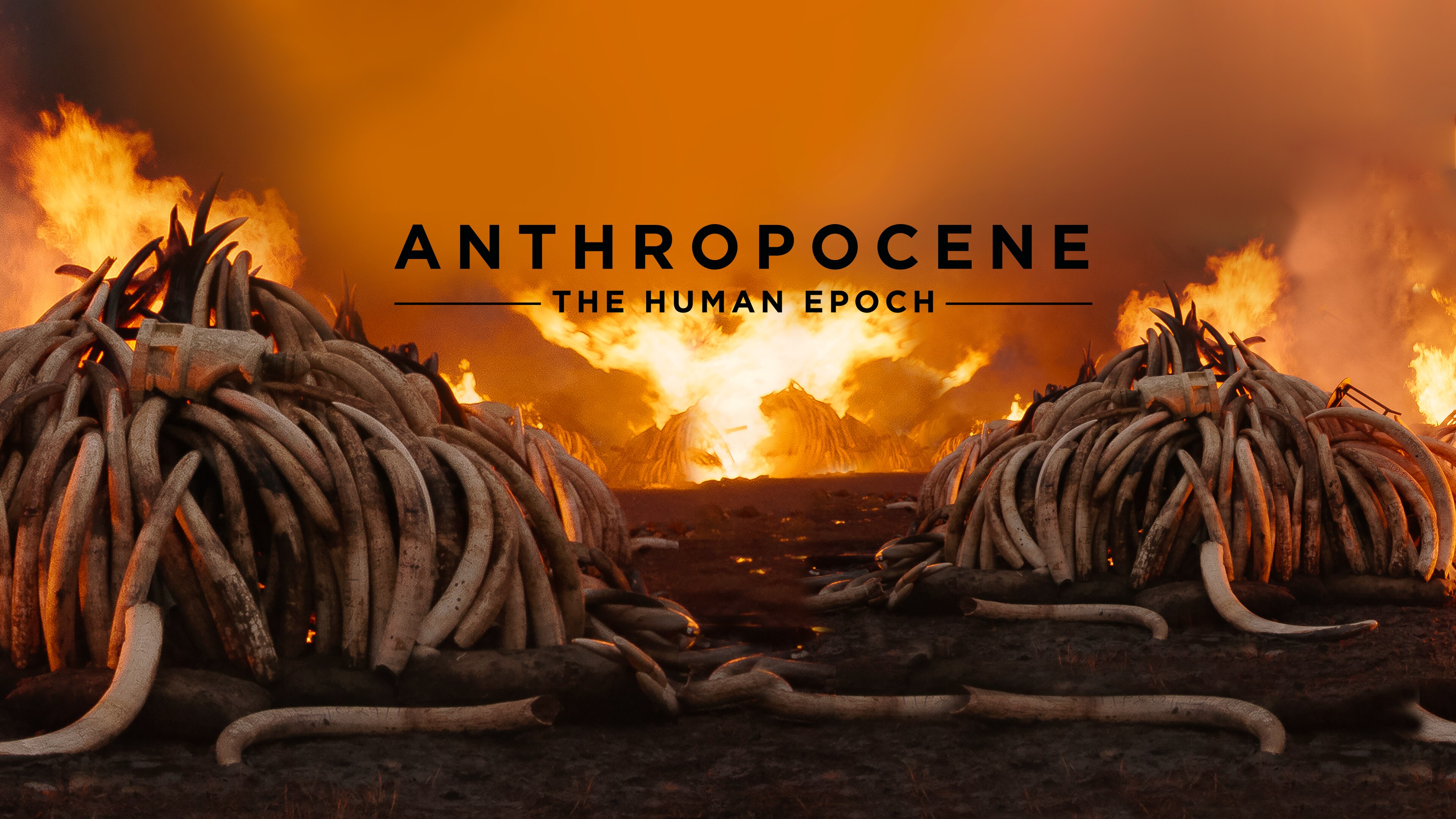 Anthropocene: The Human Epoch | Films | CBC Gem