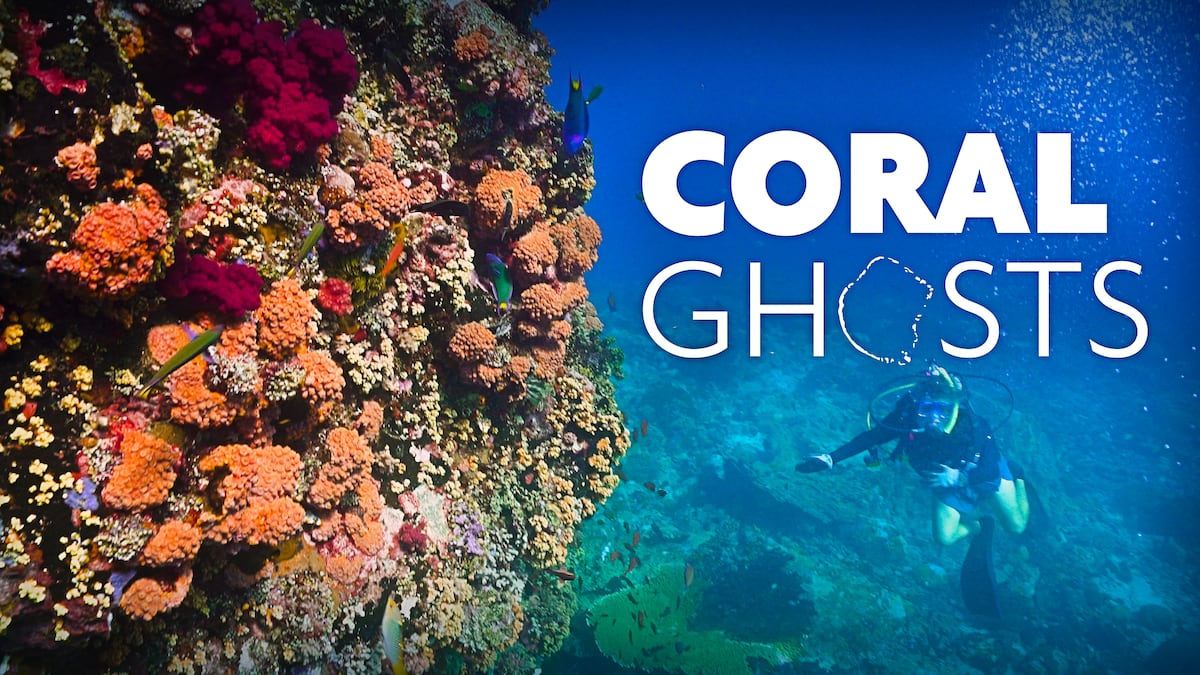 Coral Ghosts | Films | CBC Gem