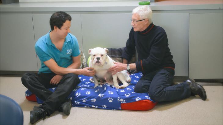 Paul O'Grady: For the Love of Dogs | Shows | CBC Gem - Paul Ogrady For The Love Of Dogs 2021