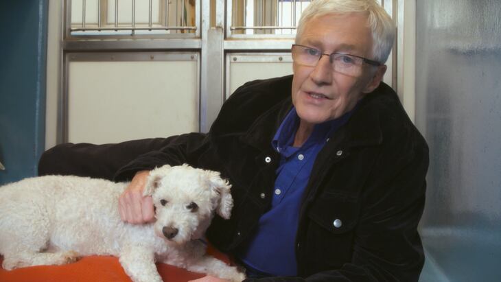 Paul O'Grady: For the Love of Dogs | Shows | CBC Gem - Paul Ogrady For The Love Of Dogs 2021