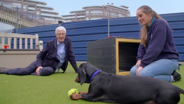 Paul O'Grady: For the Love of Dogs | Shows | CBC Gem - Paul Ogrady For The Love Of Dogs 2021