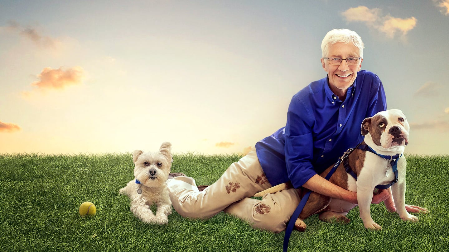 Paul O'Grady: For the Love of Dogs | Shows | CBC Gem - Paul Ogrady For The Love Of Dogs 2021