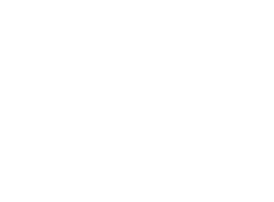 Run The Burbs